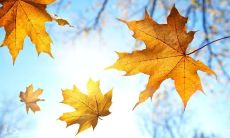 元亨利贞网免费提供全面的八字分析和讲解,深入解读你的人生命运趋势和性格特质!