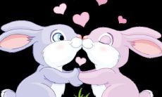 属兔夫妇的婚姻是否会昌盛? 以两个出生在1999年的属兔为例