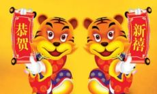 2023年迎来虎年,让我们共同祝福这个属虎的命理学特征年份,并了解它带来的影响及可能的转机