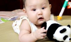 属牛人起名的时候是否应该选择带有“王”字根的名字?