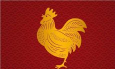 根据占星学预测,今年七十七岁的属蛇之人运势不佳,因其心狠手辣、恩怨不了了之的直觉倾向,容易为其决策带来负面影响