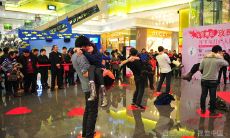 深入分析金牛座和狮子座的恋爱匹配度:从性格特质、情感需求和行为举止等多个维度进行评价