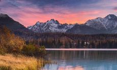 探究摩羯男何时有婚姻念头并确立婚姻标准:摩羯男对婚姻的看法和行动方式