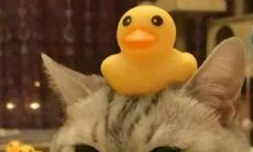 天蝎座女生与双子座男生是否更加契合?——探究星座配对与关系的奥秘