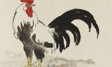 2023年的狗年与蛇年:对于属狗和属蛇的人们的详细运势分析