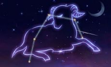 男人眼中的万人迷星座女:狮子座和白羊座是否天生绝配?