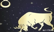 哪个星座是最理想的摩羯座配偶?摩羯座和狮子座的婚姻是否可行?