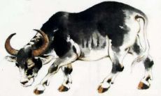 如何有效吸引属猪男性消费者,让他们为你奉献钱财?(猪年必看:属猪男性购物攻略)