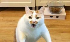 天生压倒性克星?摩羯女和白羊座男生坦克战斗纪实