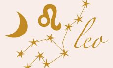 如何让骄傲的狮子座低下头:应对狮子座的败诉与失落