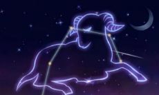 以内在力量为支撑的星座男生:探究最具野心的星座男性特质