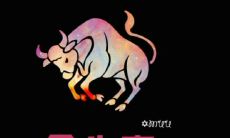 金牛座的人有哪些性格特点和脾气问题?