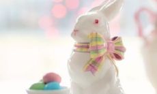 2023年属兔者的全年运势和运程,包含猪年和牛年冲突的影响