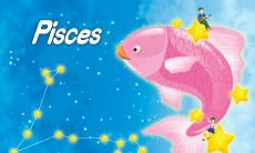 为什么射手座的人普遍颜值高,而双鱼座则也有不少出色之人?