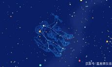 狮子座:强者眼中的霸主,软弱者口中的懦夫