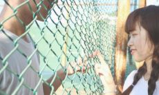 1995年属猪男生最佳婚姻匹配:探讨一下潜在的理想配偶