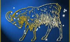 如何让摩羯座男生成功追求女孩子:探究摩羯座男追求女生的特质和行为举止