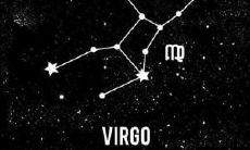 究竟处女座代表着什么样的生肖动物?而在动物星座中,白羊座又应该被归类为哪种动物呢?