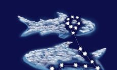 究竟哪个星座最注重爱情?实际证明,天秤座不容小觑,是最懂得经营恋情的强力星座!