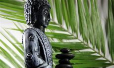 比较道教算命和佛教算命及其与风水的关系:是否存在佛教算命,以及是否需要看风水?