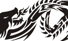 预测:1988年生属龙人婚姻状态和未来婚姻运势(2021年属龙人的运势分析)