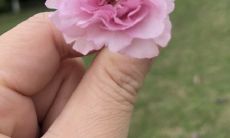 你是否想知道:与金牛座男性借钱是否容易?此外,让金牛男最讨厌的女孩是哪一种?