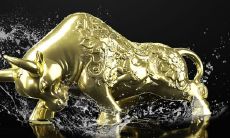 属牛的人在1997年出生,预计将于2023年在大利月结婚