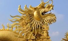 属龙人的34岁:探索这一命运的特点和趋势