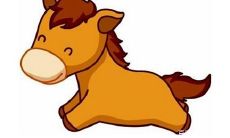 1981年出生的属鸡人,今年的幸运数字是多少?(以1981年属鸡为基准的招财数字)