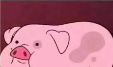 为什么摩羯女对水瓶男如此着迷,以及在水瓶男和摩羯女之间,谁会先放下?