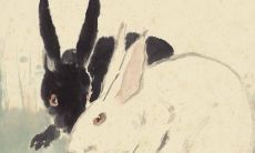 兔年属相:究竟哪个生肖在属兔的上面?