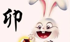 探讨2023年鼠年属兔女每月不同运势,为您解读属兔人的运势走向!