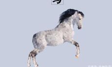 探寻属鸡女性的无限魅力:为何属鸡之人皆具美丽之风?