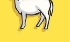 预测2023年可能会发生感情第三者情况的生肖