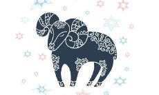 白羊男对女性的霸道行为所暴露的性格特质与关系状况探析