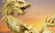 探究1988年出生人所属的生肖,并探讨1990年属马者的最佳婚配对象