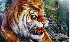 女命属虎的1974年出生女,向您揭示2023年的神秘命运!