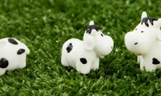 1973年出生的牛年男命婚姻运势如何?