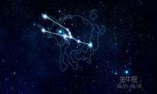 金牛男沉浸于真爱的幸福世界:探寻一个坦诚而热烈的金牛男与真爱相遇后所示现的奇妙状态