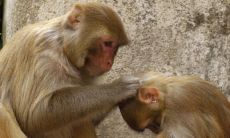 一个详细的对照表:80种生肖年份和十二生肖出生年份清单