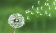 在看手相的时候,是否需要注意男左女右的差别?