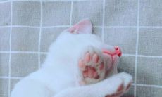 根据配对指数,探究处女男和狮子女的关系,特别揭示天蝎男对狮子女的浓情爱恋