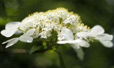 探究双鱼座心理:为何一个人能彻底让TA讨厌,以及双鱼座道歉的背后真实含义?