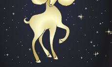 探究白羊座与双鱼座的配对,分析两个双鱼座在婚姻中的成功指数