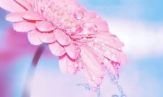 2023年的属鼠应该避免生子——来自称骨算命的虎年属相预测