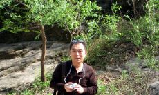 深入探究夏仲奇盲派命理知识:揭秘清娟盲派命理的取象思路