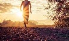 星座是否对两个人的配对关系产生重大影响?一个讨论两人是否适合的观点