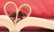 探究5月4日出生金牛座人的性格特点以及金牛座在属相中哪个最漂亮