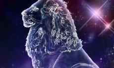 为什么一些狮子座人会表现出内向性格,而另一些则以好斗的火爆脾气著称?