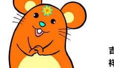 十二生肖2023年综合运程详解:从每月运势到全年运势一网打尽